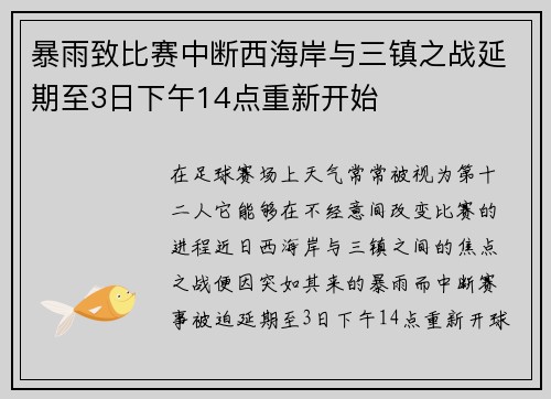 暴雨致比赛中断西海岸与三镇之战延期至3日下午14点重新开始